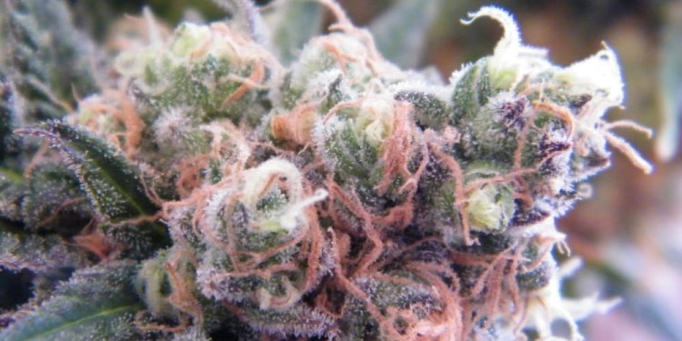 Alpenglow Breckenridge