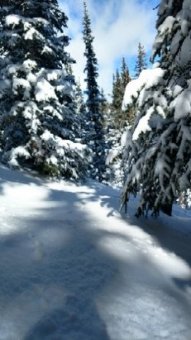 Breckenridge - Good conditions. Just enough to soften it up. Woods were nice. - ©JJinPA