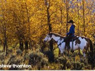 fall-horseback-riding-vail-co