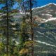 Moonstone Lodge Breckenridge