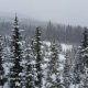 Nordic Center Breckenridge
