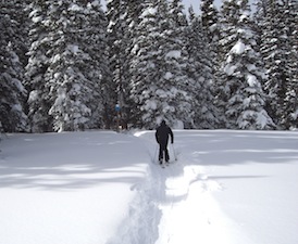 Snowshoeing in Breckenridge
