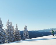 Breckenridge Shuttle Service