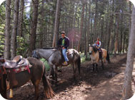 trail riding breckenridge co