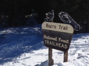 The Burro Trail begins at the base of Peak 9 at Breckenridge Ski Resort but it doesn’t take long to escape the crowds as you quickly disappear into the woods. This trail has minimal elevation gain and offers an abundance of distance options.