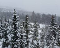 Nordic Center Breckenridge